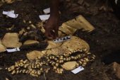 1300 yıllık! Panama’da altınlarla süslü mezar bulundu